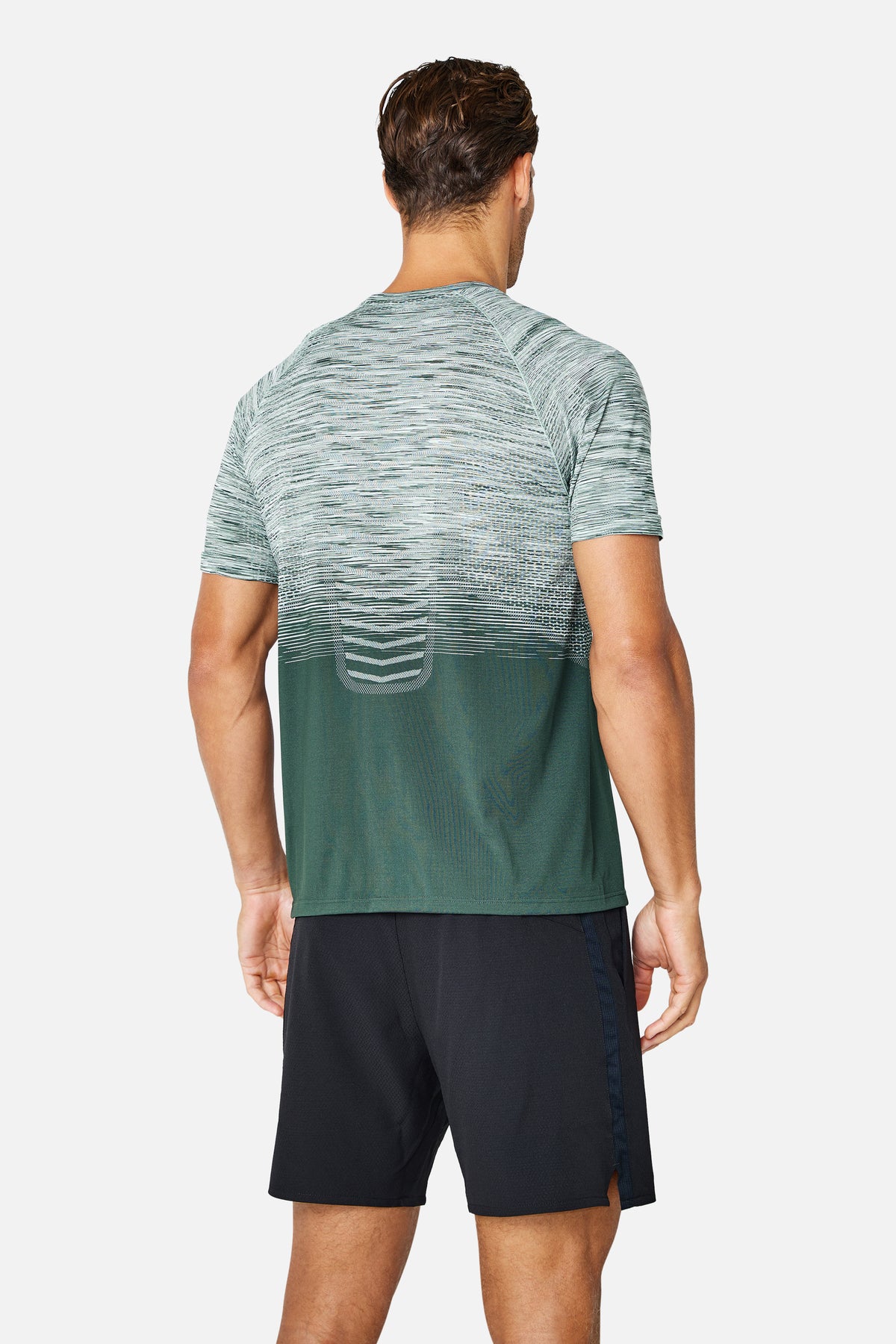 Arc Seamless 2.0 Tee - Everveil/Wild Grove/Frosted Leaf