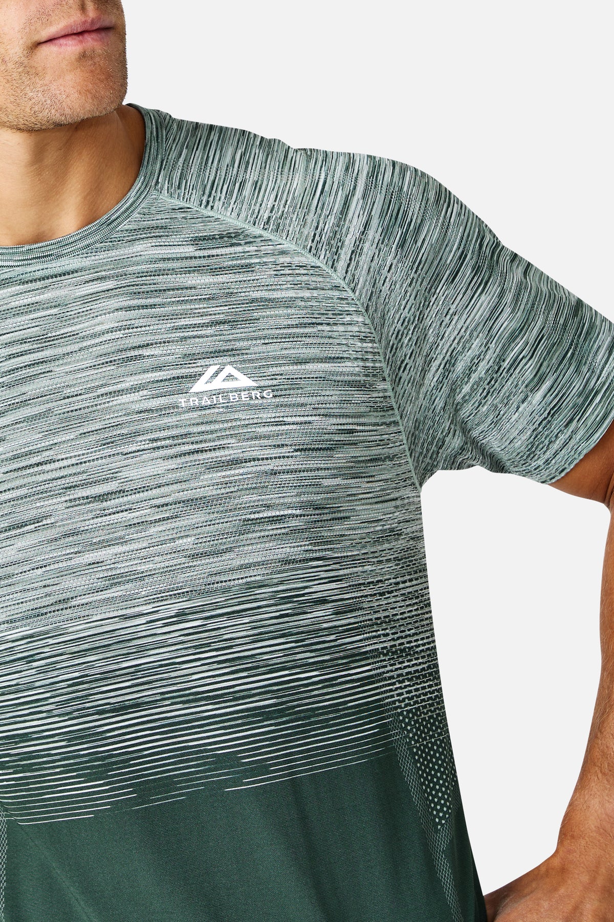 Arc Seamless 2.0 Tee - Everveil/ Wild Grove/ Frosted Leaf/ Icewall White
