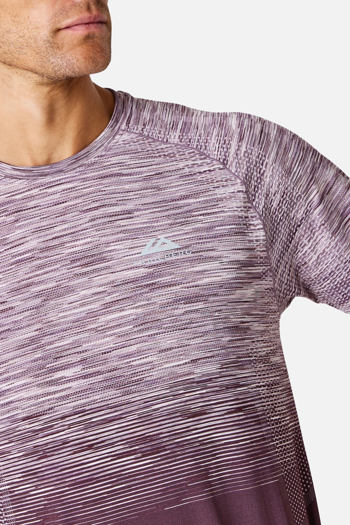 Arc Seamless 2.0 Tee - Deep Plum/Frostglow/ Misty Mauve/ Violet Mist