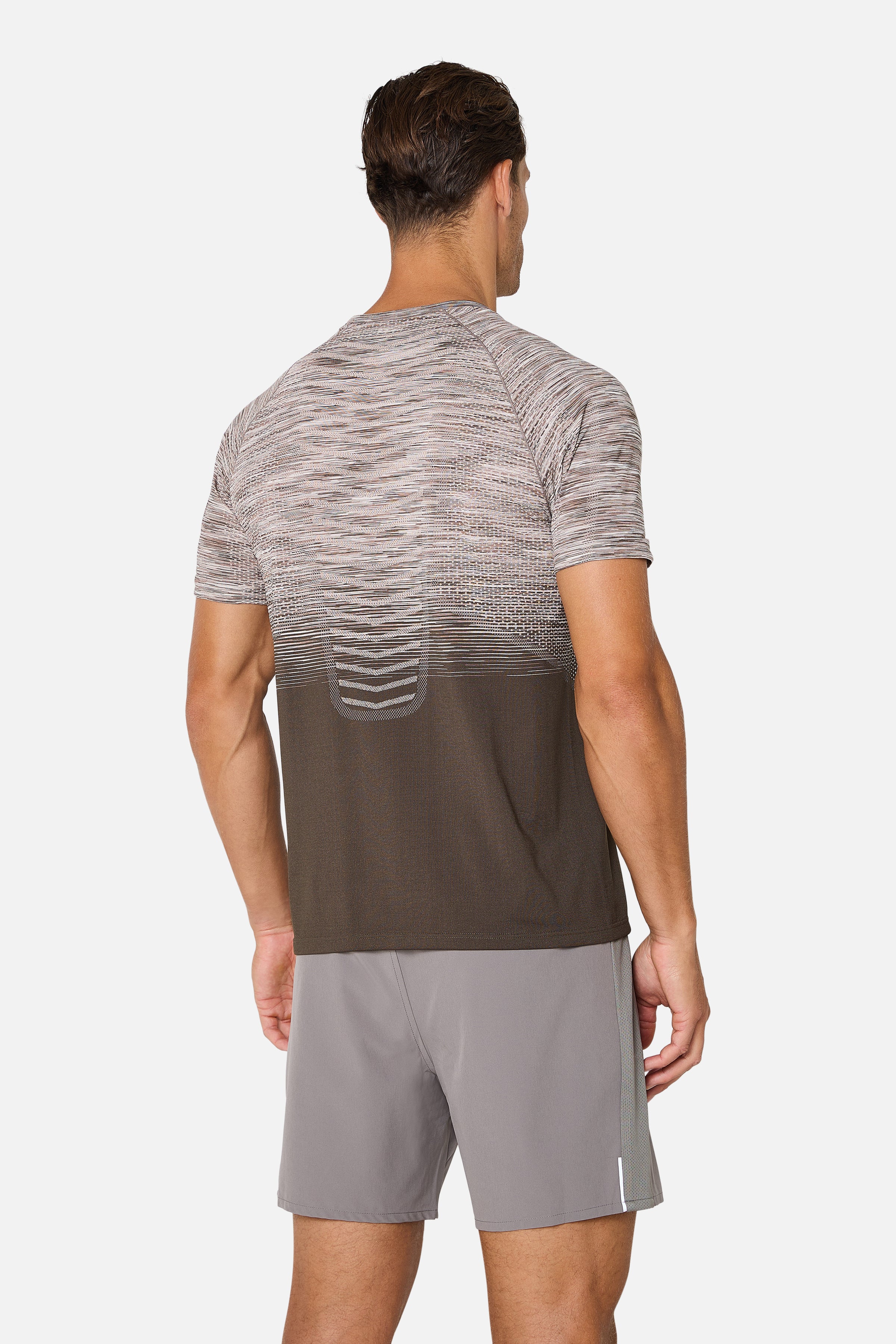 Arc Seamless 2.0 Tee - Mocha/Pebble Stone/Frosted Ridge/White